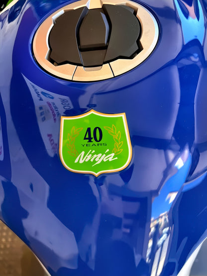 Kawasaki ninja zx-4rr