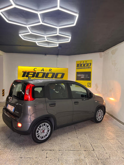 FIAT FIAT PANDA 1.0 FireFly 70cv S&S Hybrid Hatchback